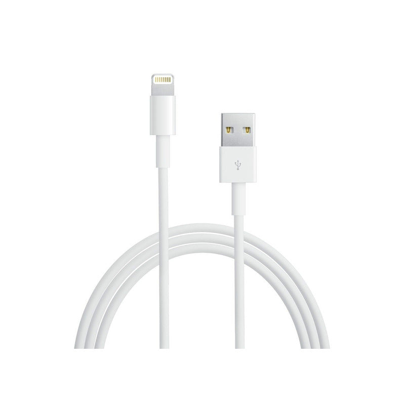 Cable Lightning A Usb iPhone 6 iPod 5 Nano 7 iPad Mini