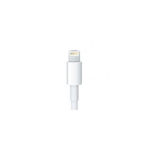 Cable Lightning A Usb iPhone 6 iPod 5 Nano 7 iPad Mini