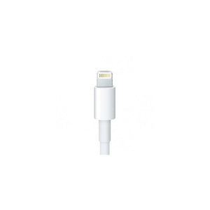 Cable Lightning A Usb iPhone 6 iPod 5 Nano 7 iPad Mini